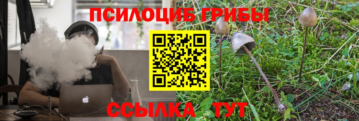 Псилоцибиновые грибы Psilocybe Копейск