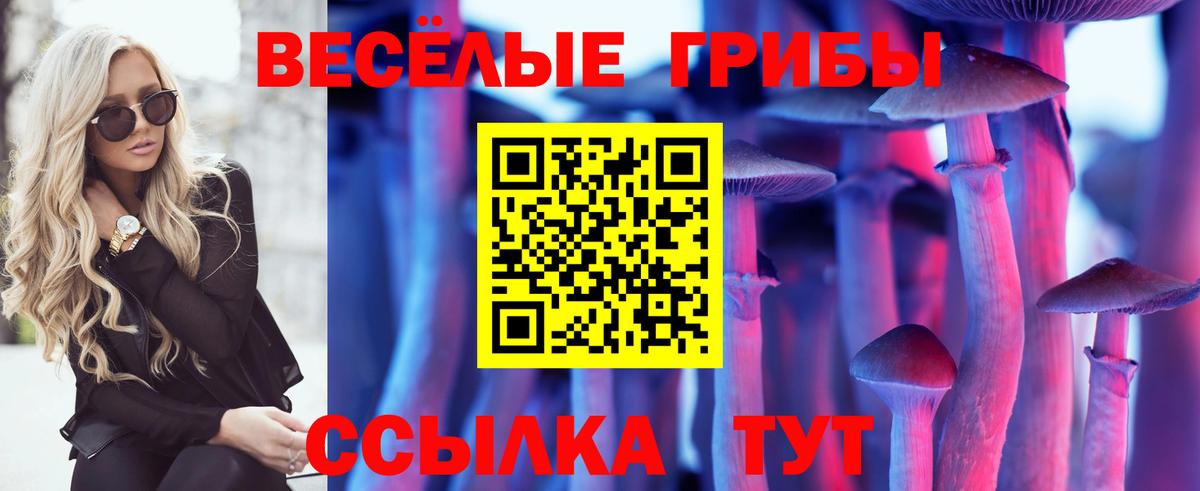 Псилоцибиновые грибы мухоморы  Вход с VPN  хочу наркоту  Копейск 